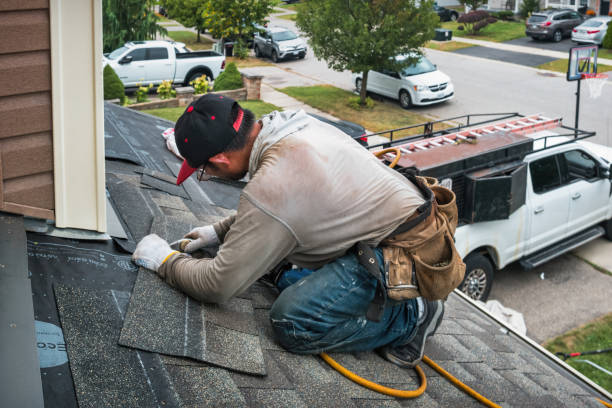 Professional Roof Leak Repair technician working in Lena, IL